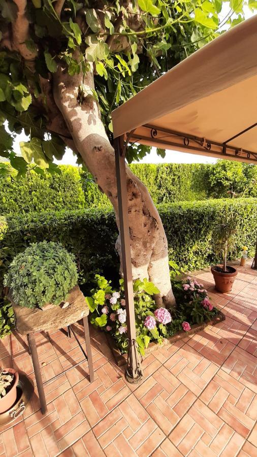 Casale Battaglini Bed & Breakfast Castelnuovo Cilento Exterior photo